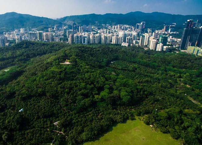 35o aniversário da funda??o da Zona Econ?mica Especial de Shenzhen