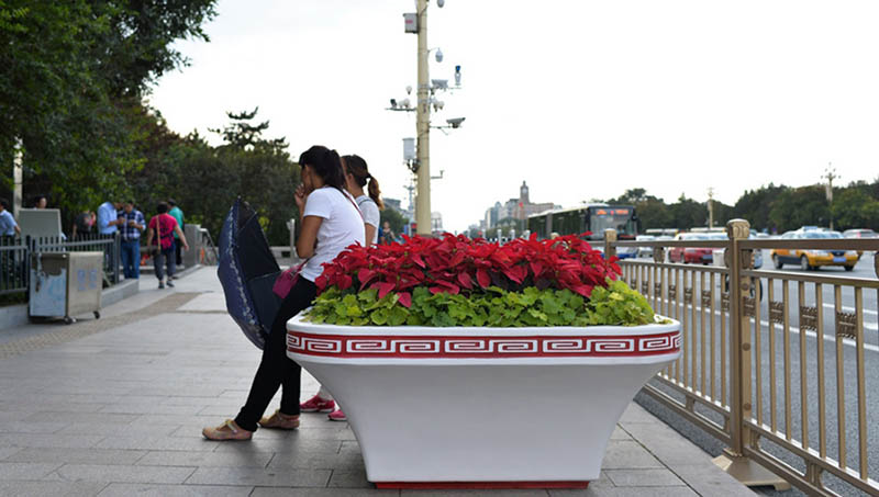 Réplica floral da Grande Muralha na Pra?a Tiananmen