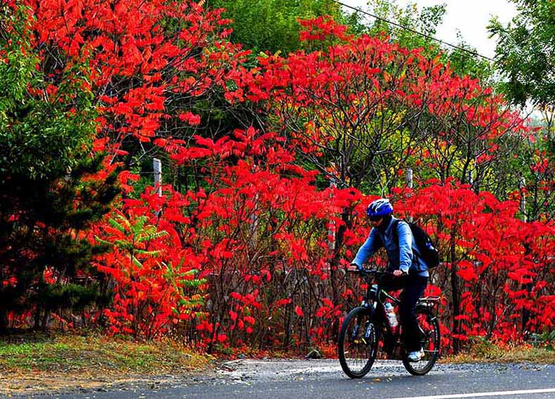 Cenário de final do outono na estrada nacional No 109 em Pequim
