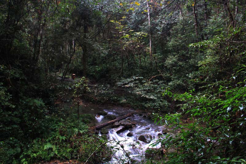 Jiangxi pelos olhos da imprensa internacional – Parque Nacional Yangling, Vila de Hengshuizhen