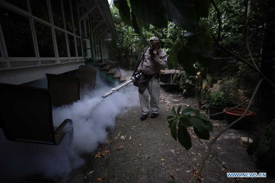 Organiza??o Mundial da Saúde se mostra preocupada com o vírus Zika