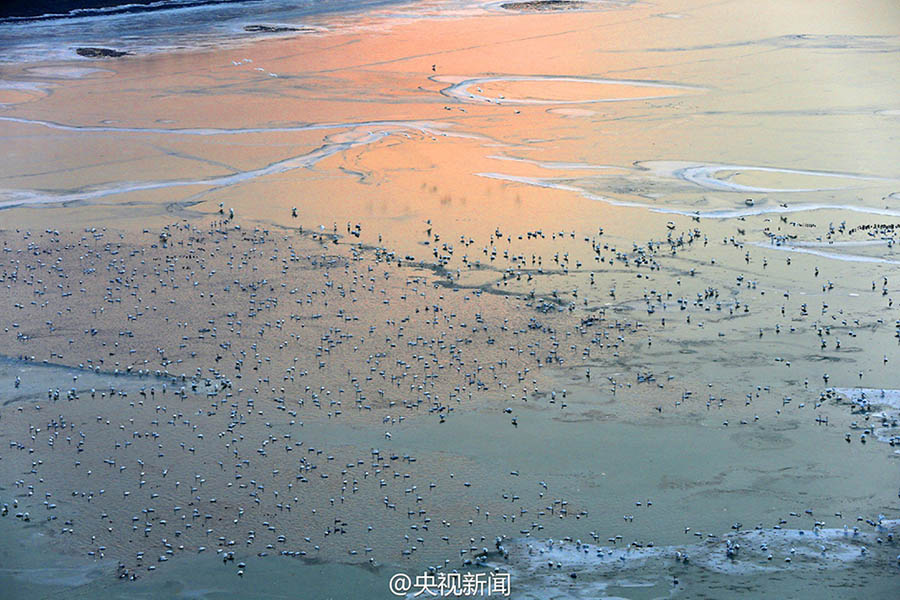 Rio Amarelo congela no inverno