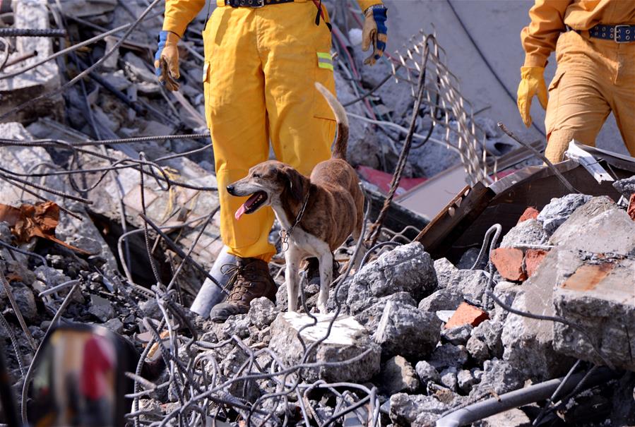 Sobe para 41 o número de mortes no terremoto em Taiwan
