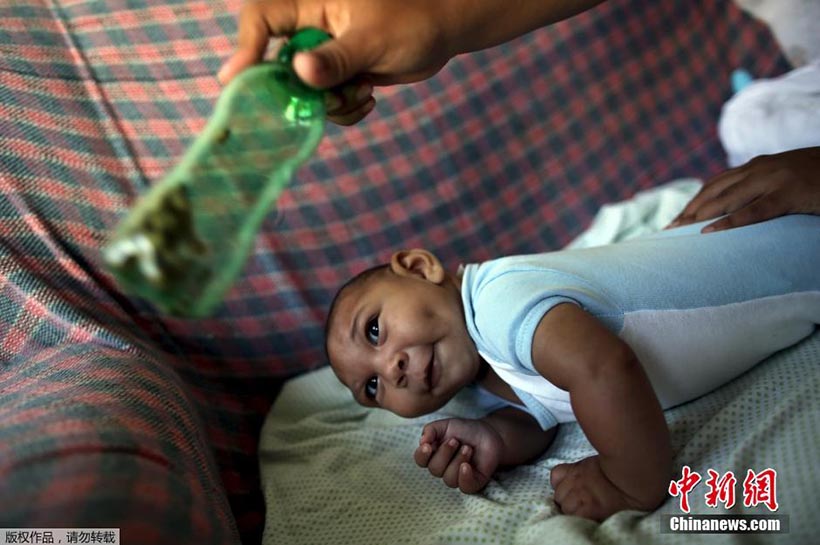 OMS lan?a resposta global para enfrentar surto do vírus Zika