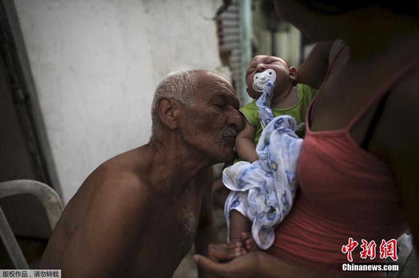 OMS lan?a resposta global para enfrentar surto do vírus Zika