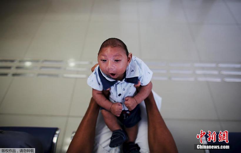 OMS lan?a resposta global para enfrentar surto do vírus Zika