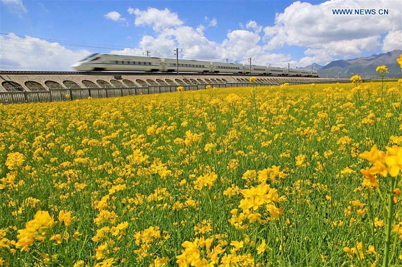 China com a maior rede ferroviária de alta velocidade do mundo