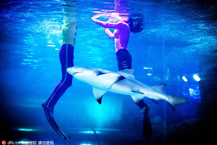 Mulher sai da televis?o para se tornar uma “sereia” em aquário de Changchun
