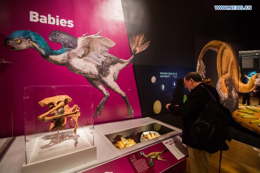Exposi??o “Dinossauros Entre Nós” abre ao público em Nova Iorque