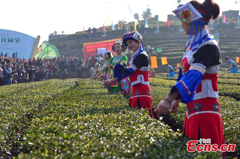 Colheita de chá da primavera come?a no centro da China