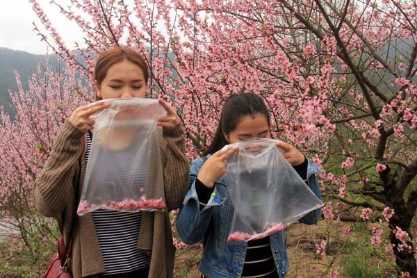 Alde?es vendem ar fresco aos residentes urbanos em Guangdong
