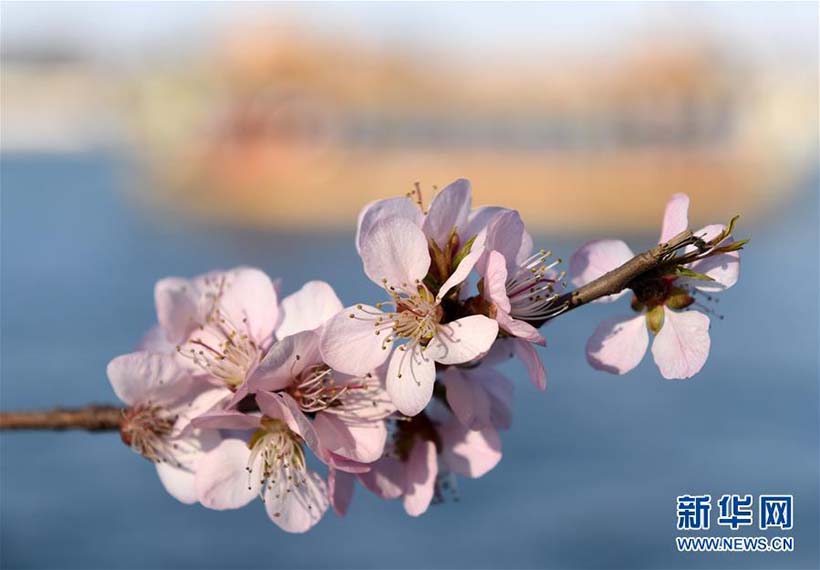 Paisagem de Primavera no Palácio de Ver?o em Beijing