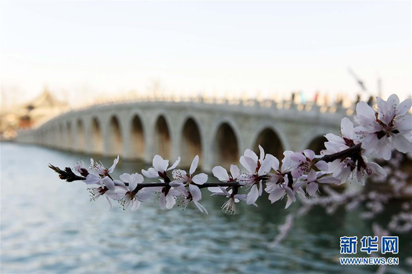 Paisagem de Primavera no Palácio de Ver?o em Beijing