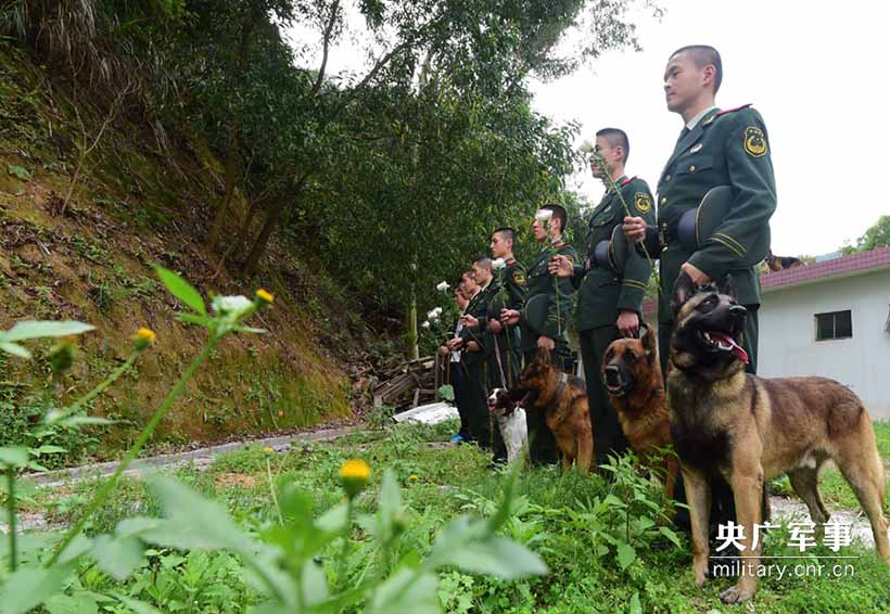 Soldados prestam homenagem aos c?es policiais heróis