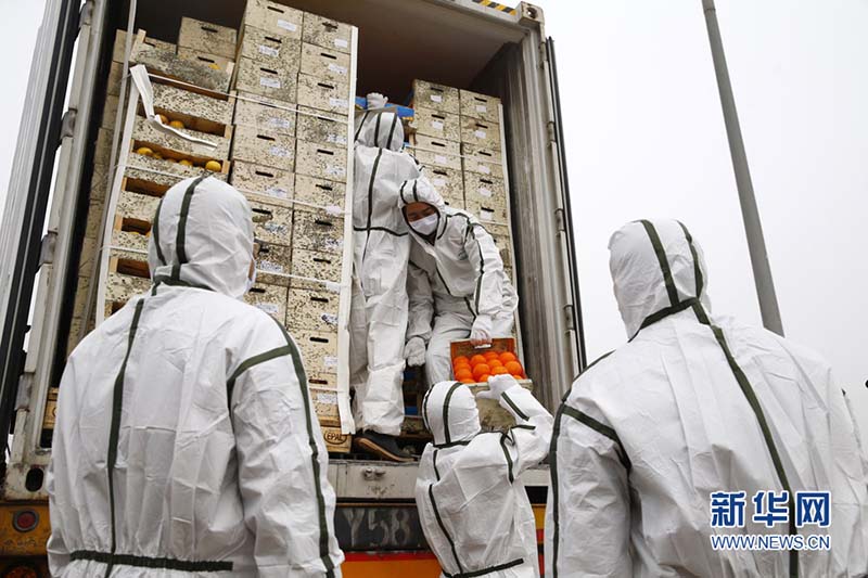 China refor?a biosseguran?a na importa??o de animais e plantas