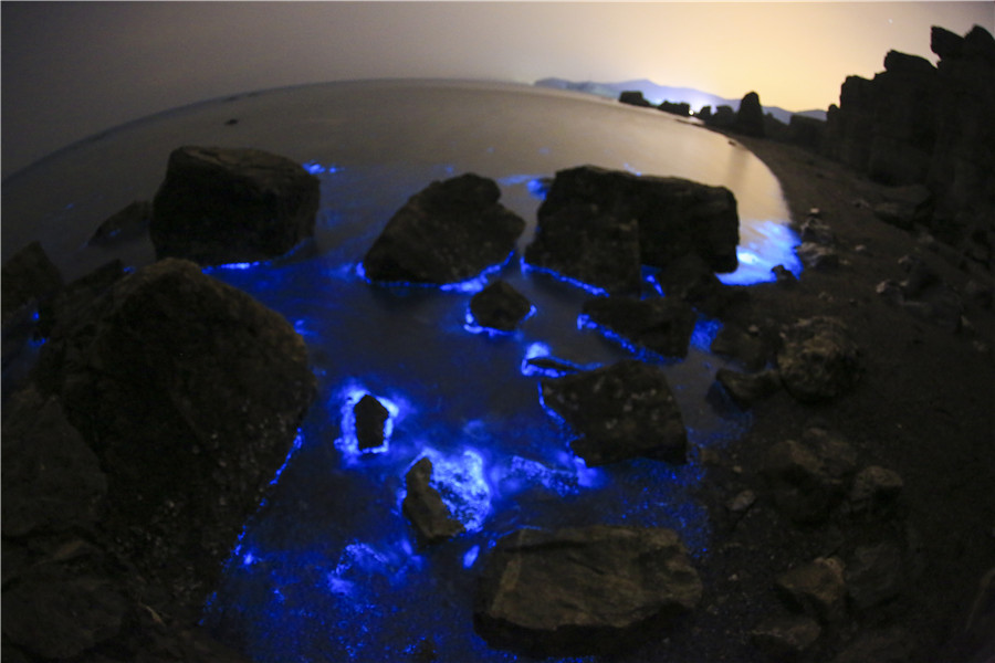 Mar fica fluorescente no nordeste da China