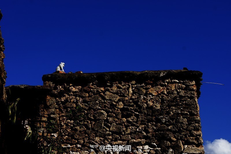 Aldeia antiga com casas construidas por fósseis de 375 milh?es de anos