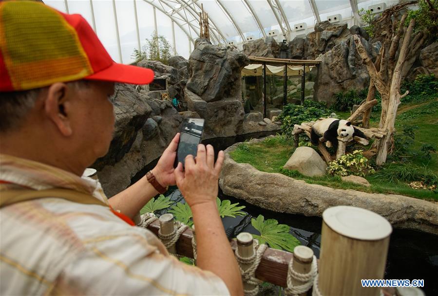 Exposi??o de arte alusiva ao panda será inaugurada em HK