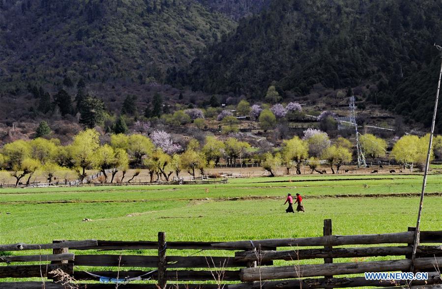 Paisagens da Regi?o Aut?noma do Tibete