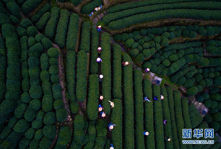 Vis?o aérea da cidade anfitri? do G20