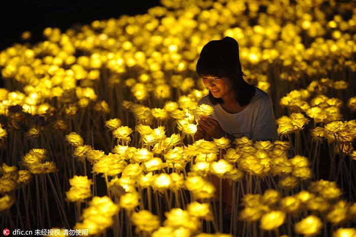 Milh?es de LEDs criam mundo de fantasia no noroeste da China