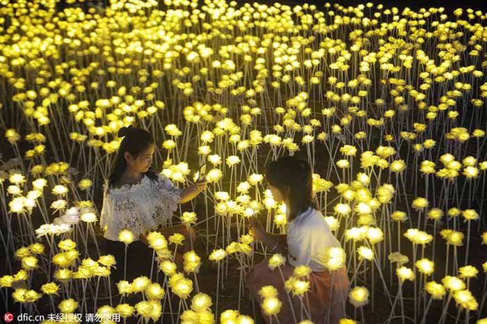 Milh?es de LEDs criam mundo de fantasia no noroeste da China