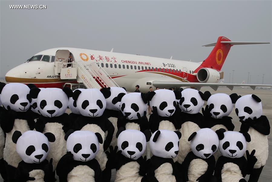 Primeiro jato regional da China come?a a operar
