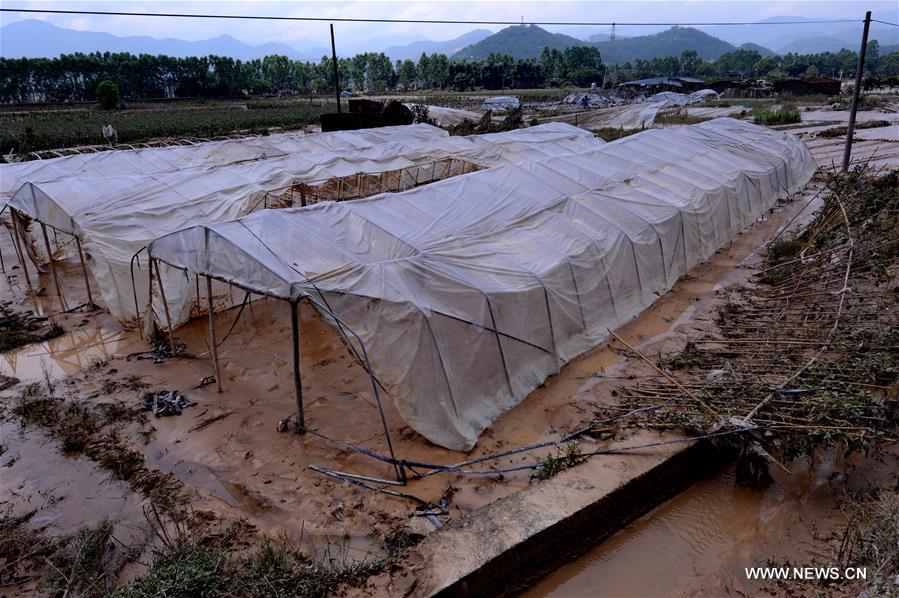 Tuf?o Nepartak deixa 10 mortos e 11 desaparecidos no leste da China