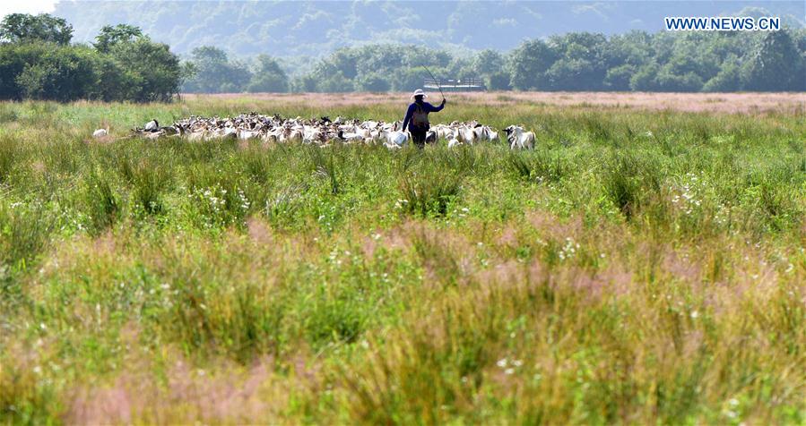 Shennongjia é declarado Patrim?nio Mundial da Humanidade