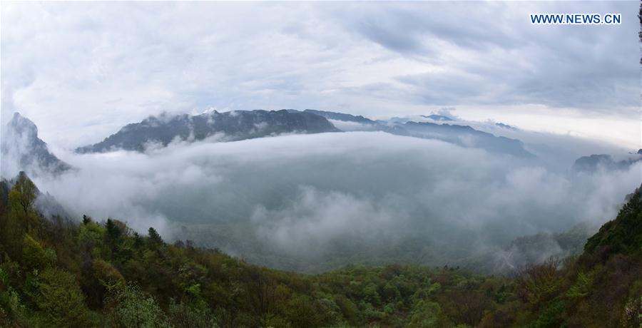 Shennongjia é declarado Patrim?nio Mundial da Humanidade