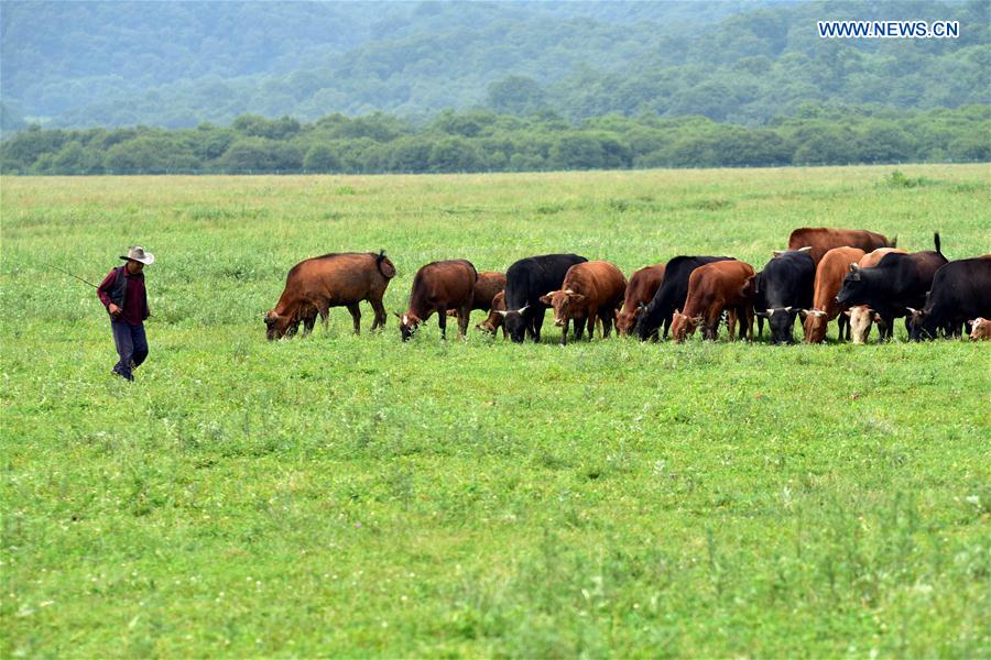 Shennongjia é declarado Patrim?nio Mundial da Humanidade