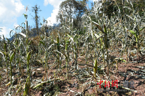 Explos?o de gasoduto deixa mortos e feridos no centro da China