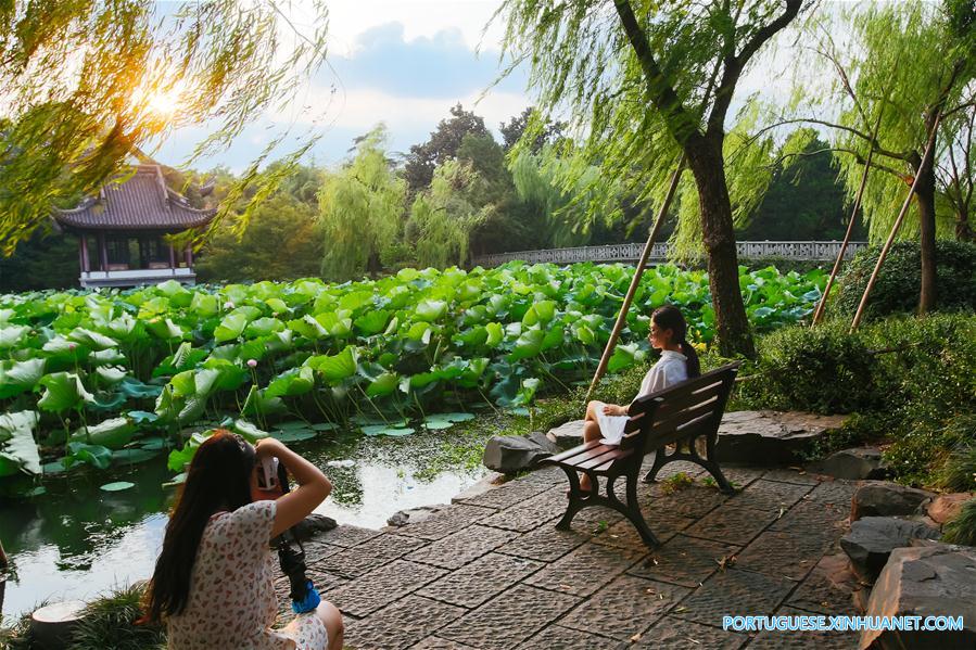 Vida quotidiana em Hangzhou, anfitri? da Cúpula do G20 2016