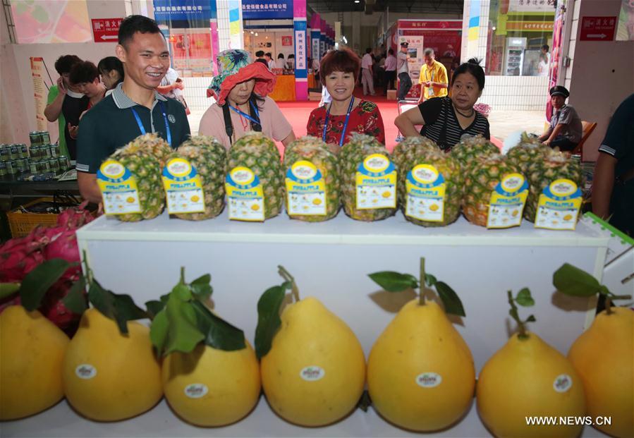 Sudoeste da China realiza 13a Expo China-ASEAN