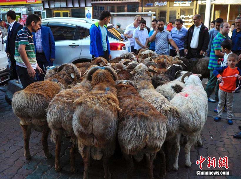 Mu?ulmanos em Xinjiang celebram Festa do Sacrifício