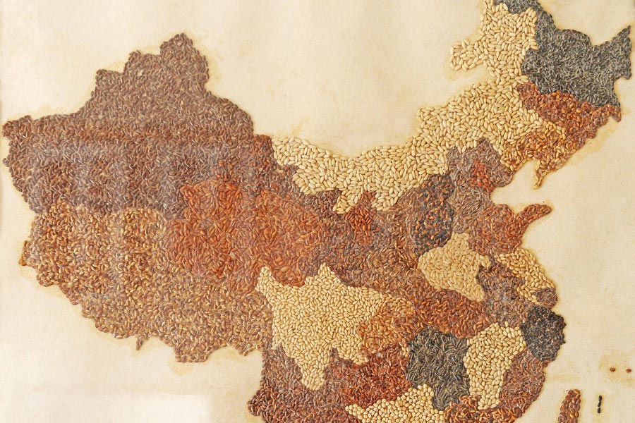 Agricultor cria mapa da China através da planta??o de arroz colorido em Shanghai