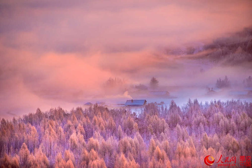 Cores e contornos da floresta Dahinggan