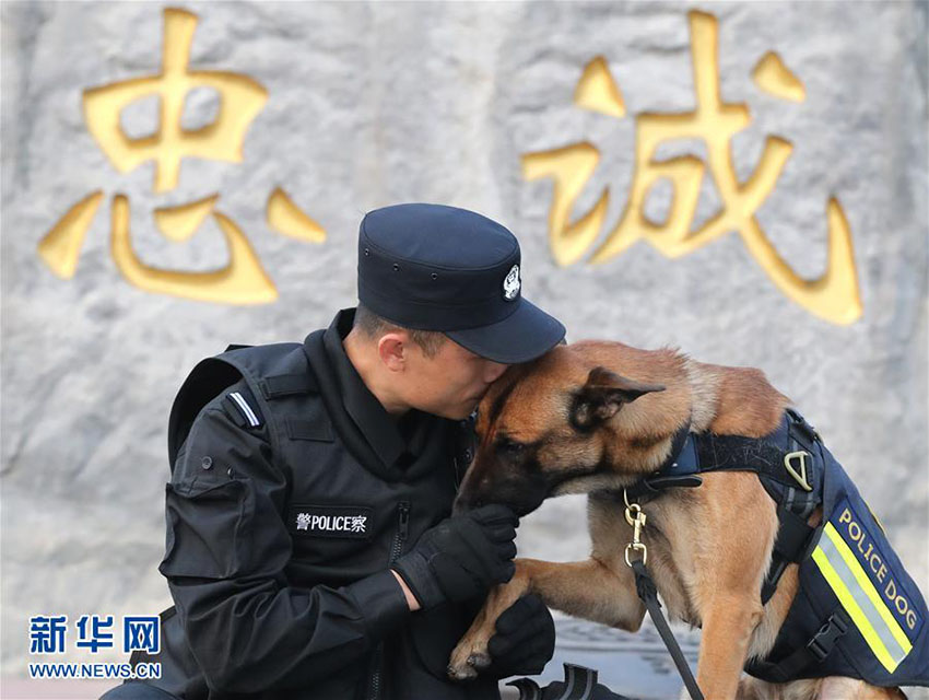 Mais de 1.000 c?es policiais colaboram em investiga??es criminais em Beijing