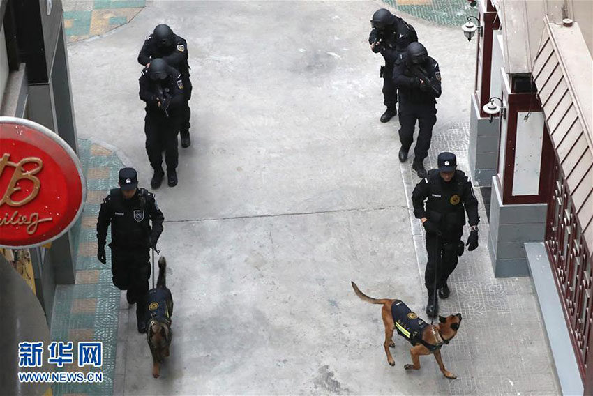 Mais de 1.000 c?es policiais colaboram em investiga??es criminais em Beijing