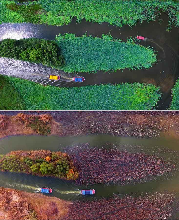 Paisgens de ver?o e inverno do Canal de Tai'erzhuang na província de Shandong