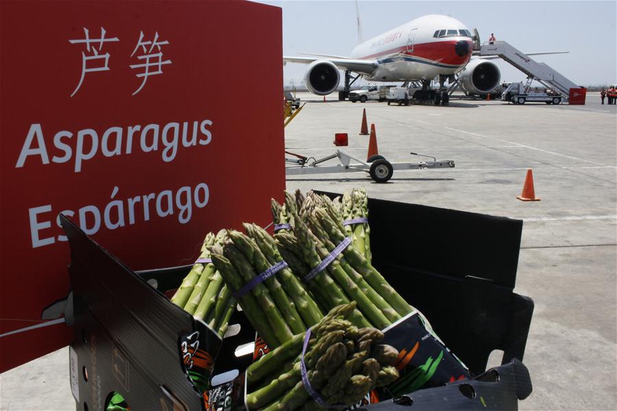 Avi?o cargueiro come?a a transportar produtos peruanos para China