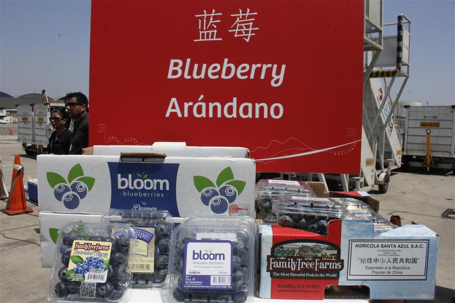 Avi?o cargueiro come?a a transportar produtos peruanos para China