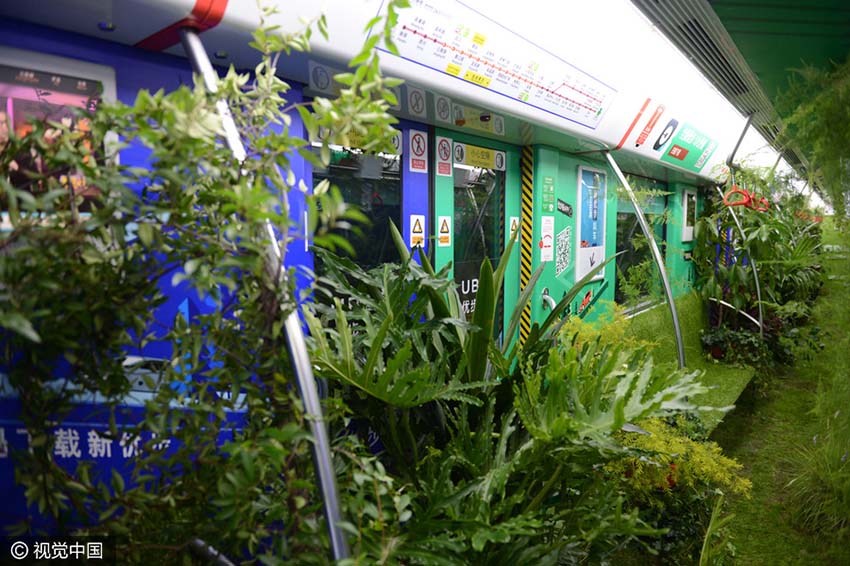 Hangzhou inaugura a iniciativa “metr? verde”