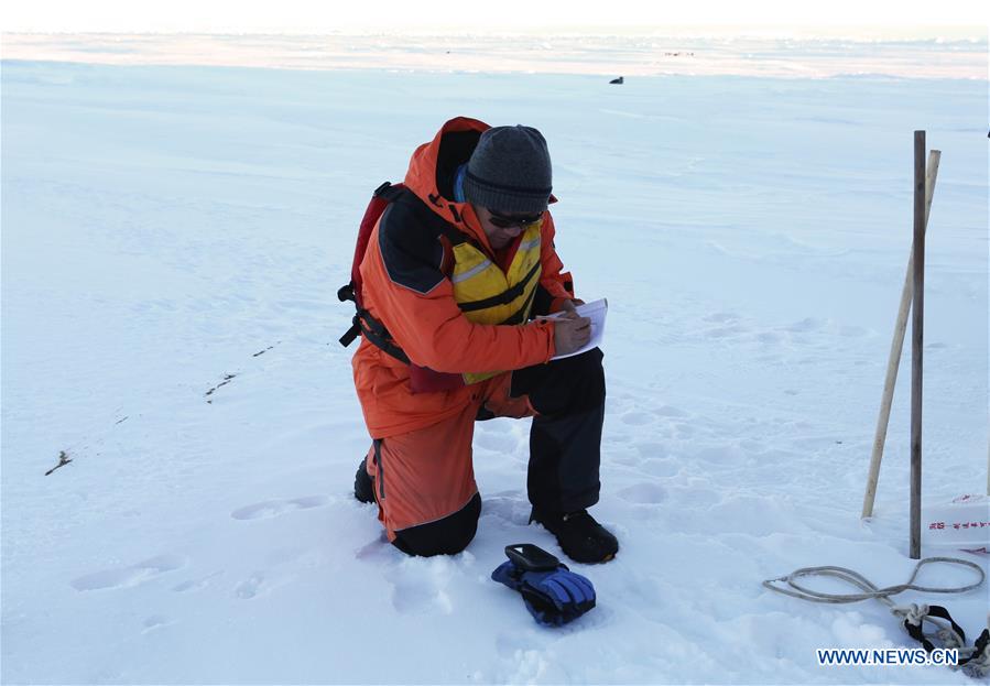 Navio de pesquisa Xuelong na 33a expedi??o antártica