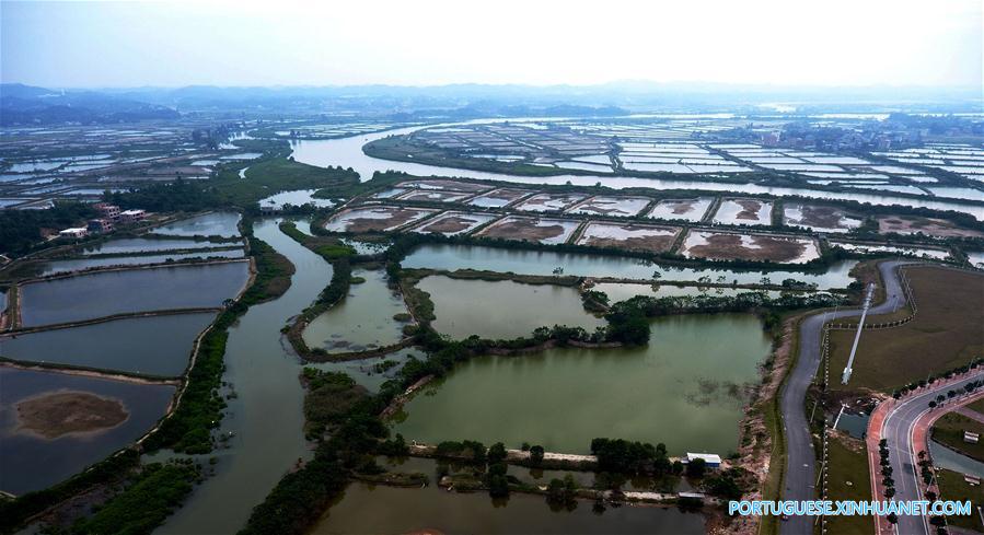 Viveiros de camar?o ao longo do rio Qinjiang no sul da China