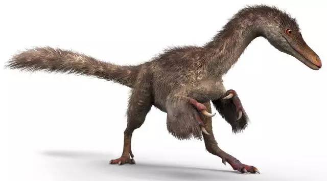Cauda de dinossauro conservada em ambar encontrada por cientistas chineses e estrangeiros