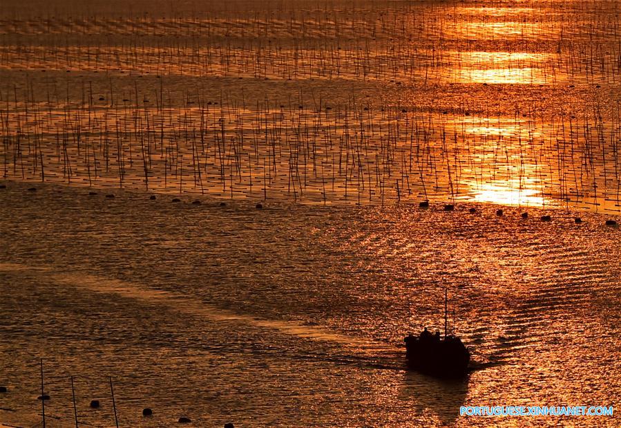 Linda paisagem ao p?r do sol de uma fazenda de alga marinha em Fujian