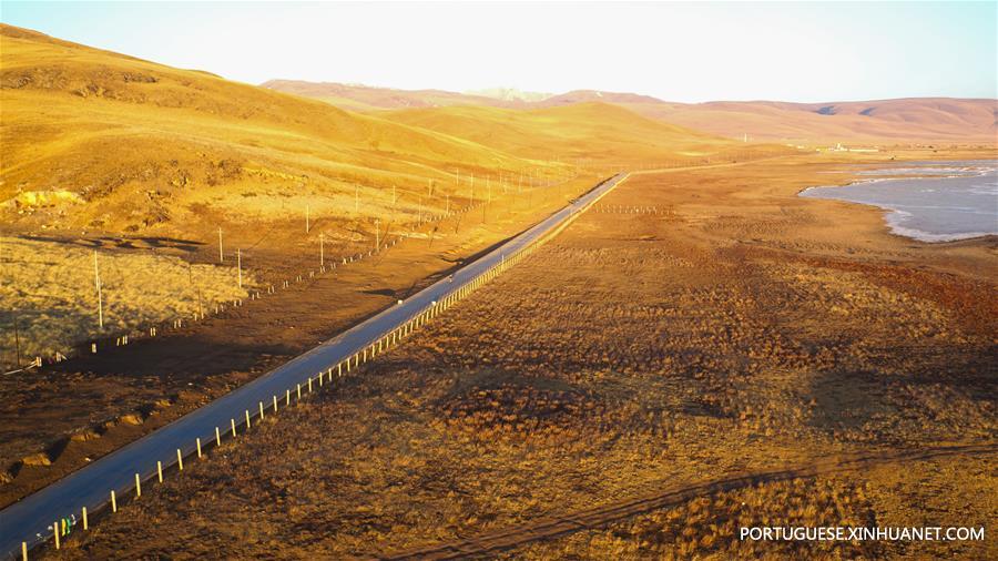 Paisagem do pantano em Maqu de Gansu