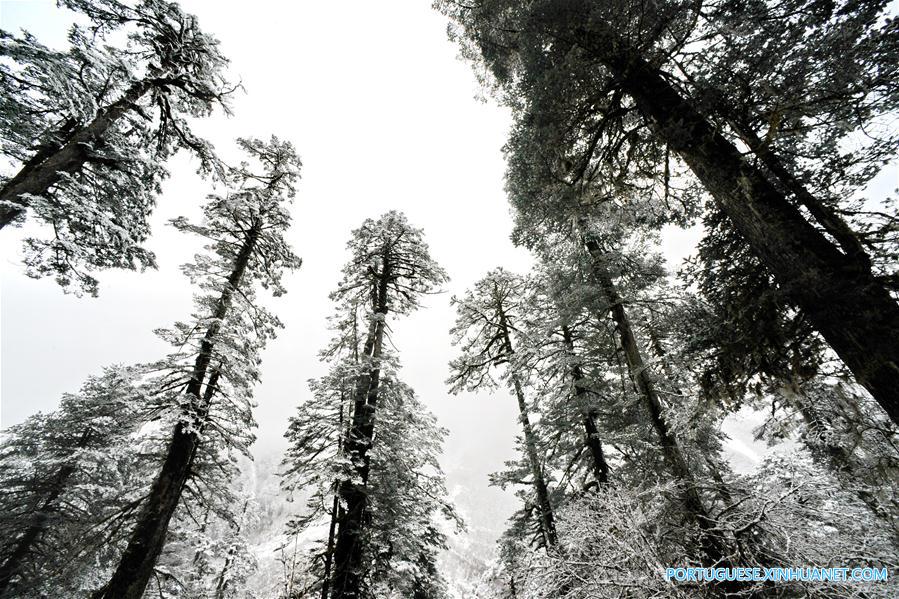 Paisagem de inverno na regi?o sudeste do Tibete
