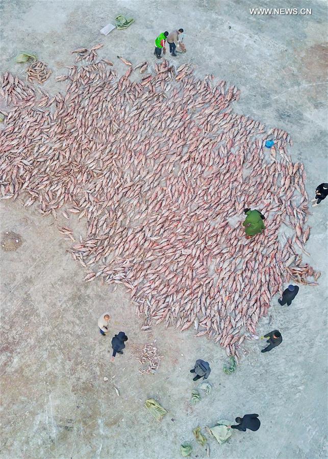 época de pesca de inverno iniciada com celebra??es no nordeste da China